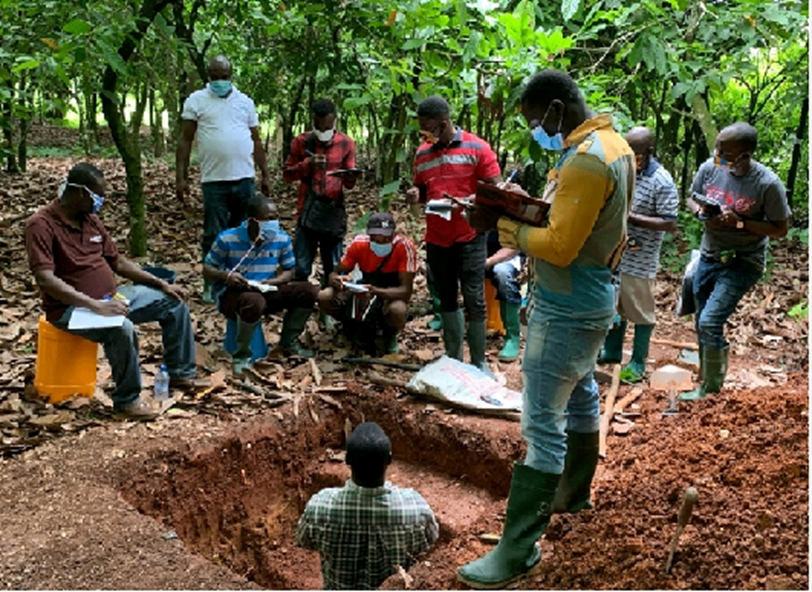 EP Africa team conducting a soil pit assessment with cocoa farmers during a field training session